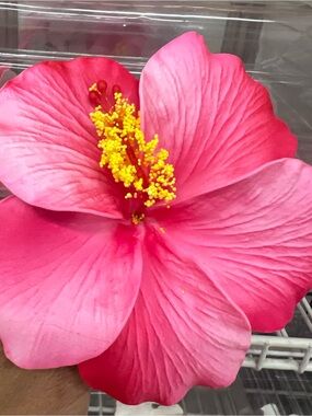 Pink Artificial Hibiscus Flower Accent -Variety of Hawaiian flowers Hair Pins
